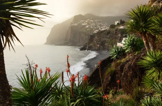 Blumeninsel Madeira