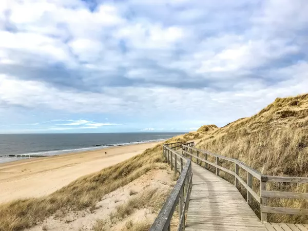 Wooden boardwalk through dunes to the beach in Sylt